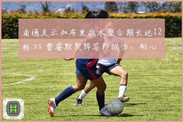 南通支云加布里战术磨合期长达12轮 vs 曹睿默契阵容即战力，耐心换未来还是赌输