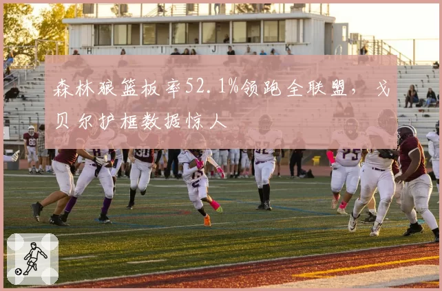 森林狼篮板率52.1%领跑全联盟，戈贝尔护框数据惊人